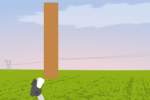 Image of game