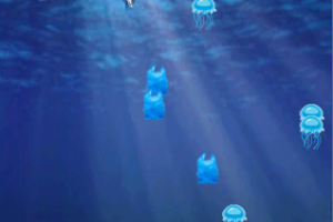 Turtle Time Screen