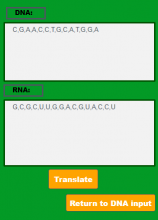 DNA Sequencer Screen