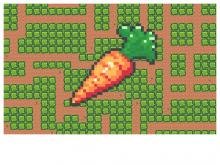 Carrot Maze Image